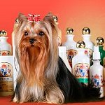 Подбор типу шерсти косметики Crown Royale