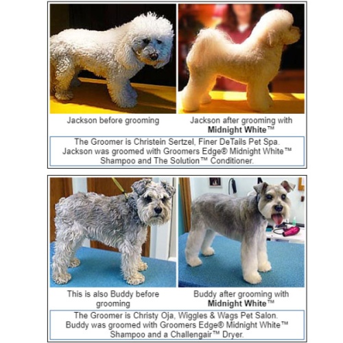 Шампунь Groomer's Edge Midnight White фото 2
