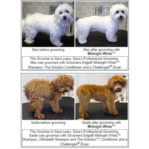 Шампунь Groomer's Edge Midnight White фото 4